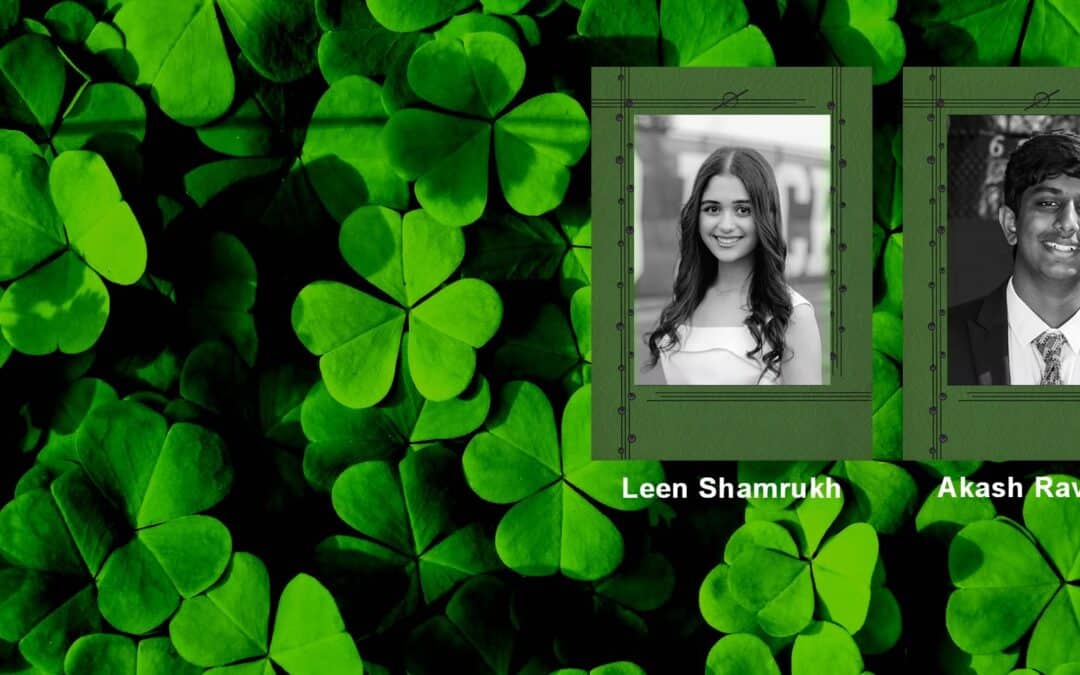 Donations Solicited for the Dublin Irish Festival Scholarship Campaign